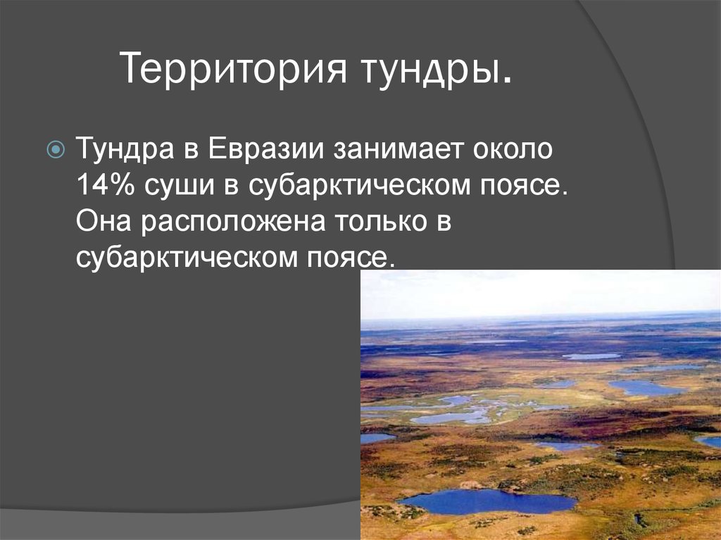 Природная зона тундра в Евразии. Зона тундры климат почва. Расположение тундры.