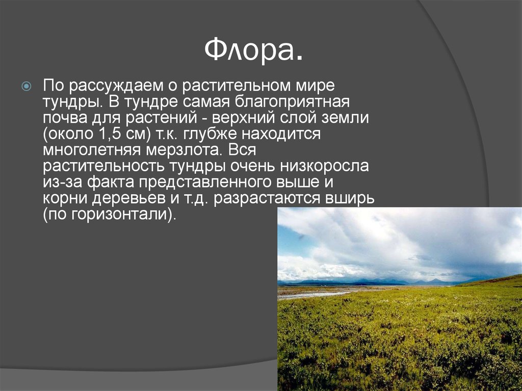 Основной экологической проблемой в зоне тундры является