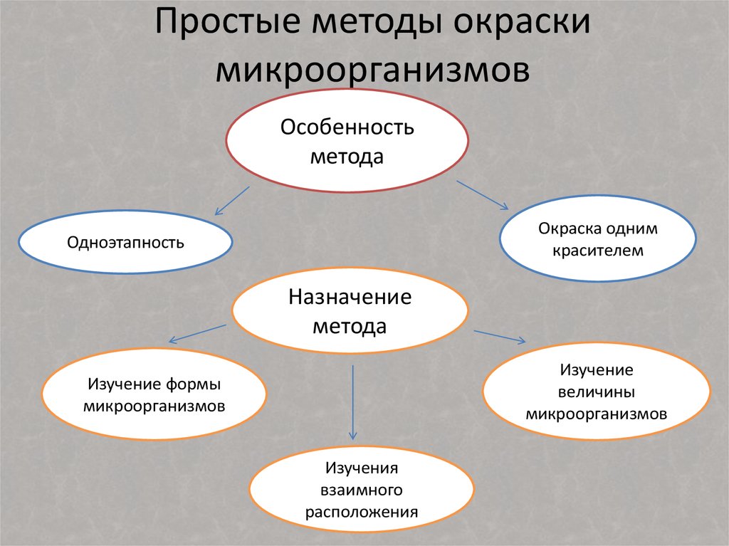 Методы окраски