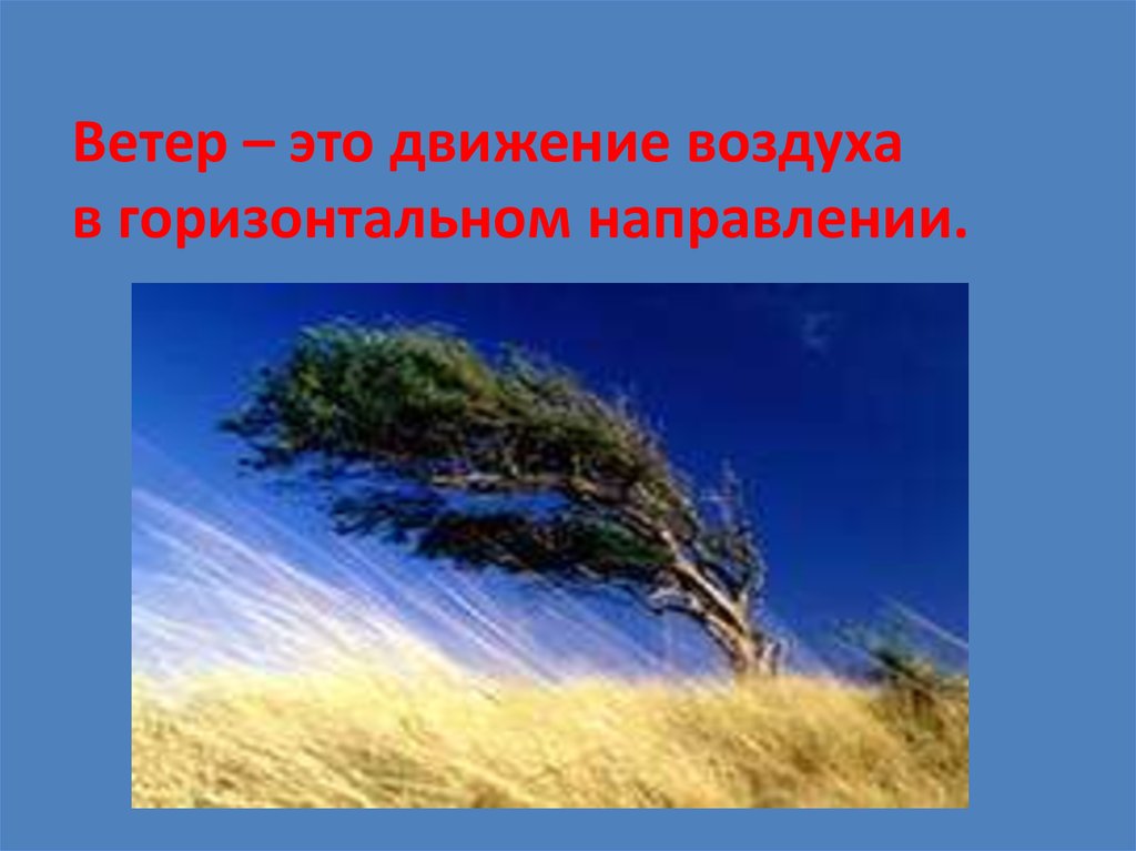 Ветер – это движение воздуха в горизонтальном направлении.