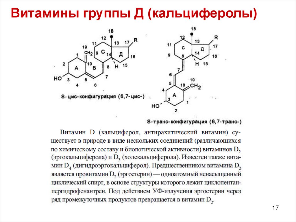 Синтез витаминов. Витамины реферат. Кальциферолы. Витамины реферат по анатомии. В15 витамин название.