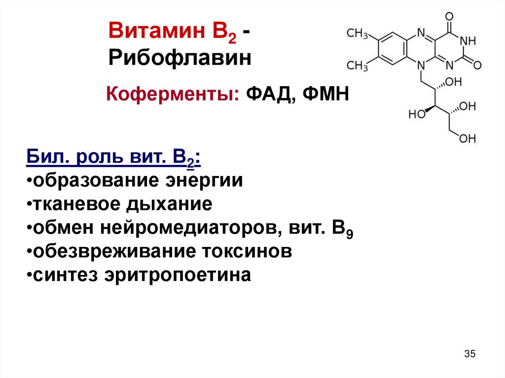 Синтез кофермента. Витамин в2 структура. Кофермент витамина в2. Витамин b2 рибофлавин структура. Витамин b2 рибофлавин функции.