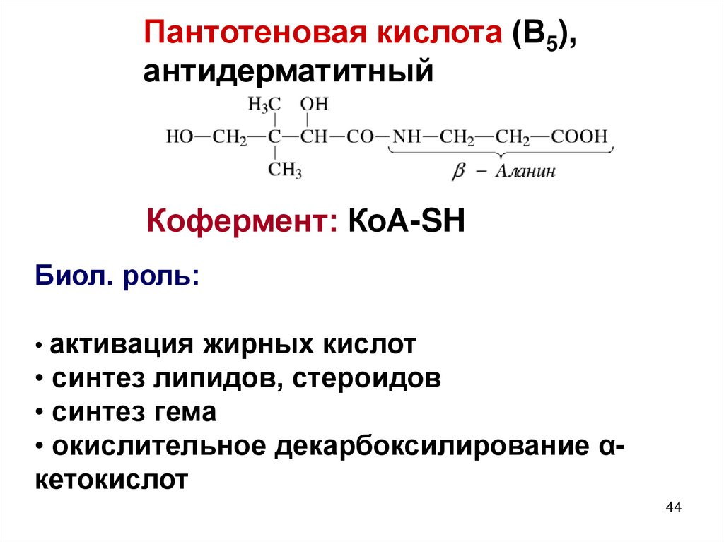 Пантотеновая кислота картинки