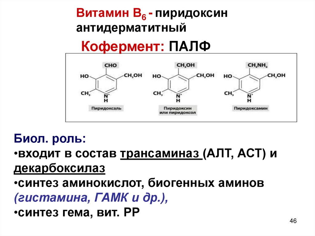 Сложный синтез. Витамин б6 кофермент. Кофермент витамина в5. Строение витамина в6 и его коферментная форма. Коферментные формулы витамина в8.