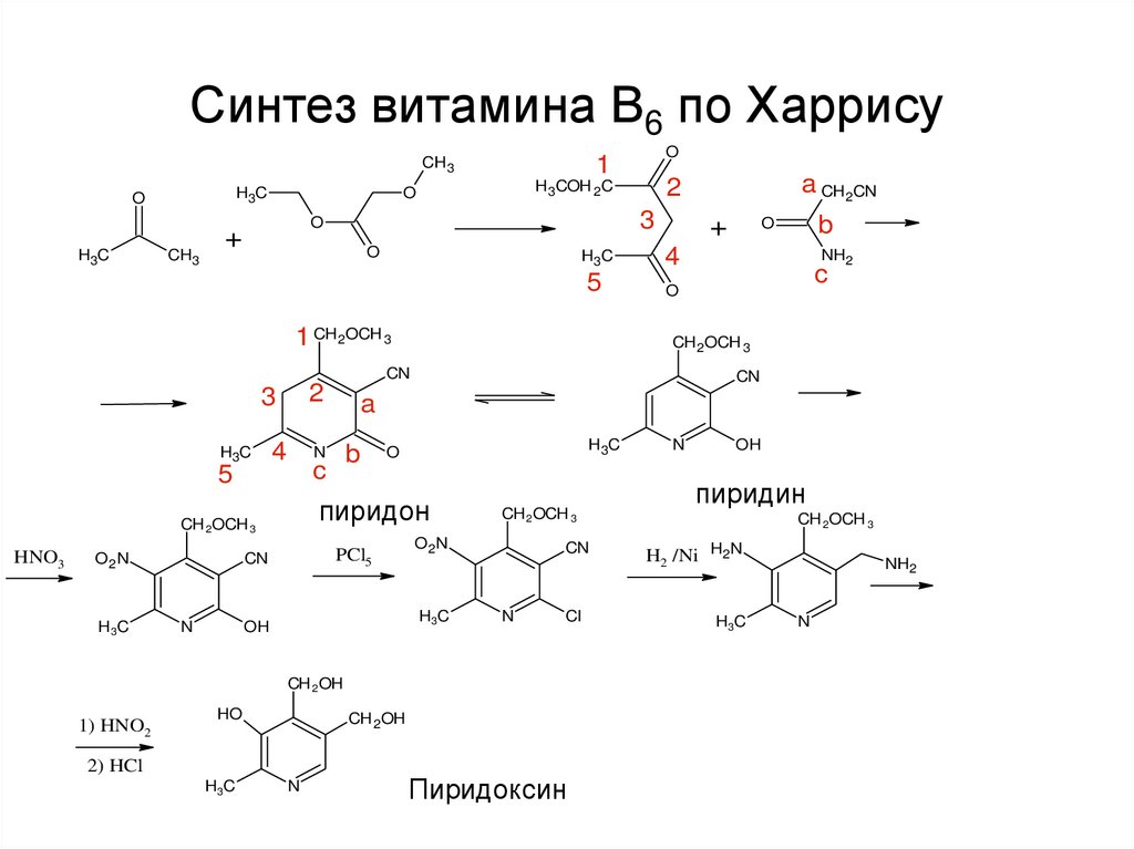 Витамин в6 схема