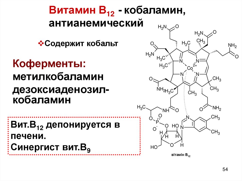 Группа б активная форма. Кофермент витамина в12. Витамин b12 кофермент. Витамин в12 кобаламин. Витамин в12 строение.