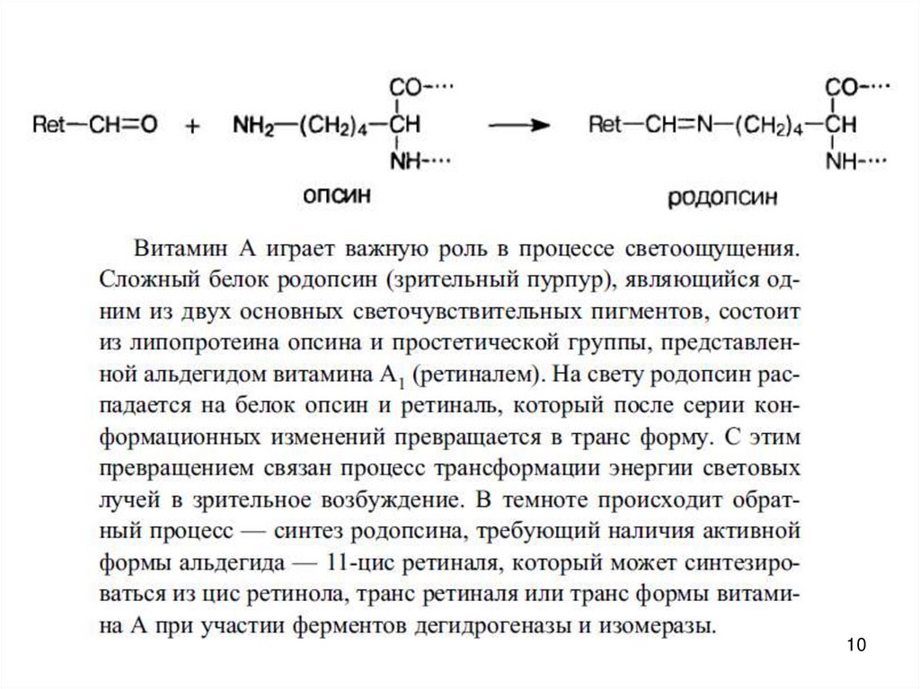 Синтез витаминов