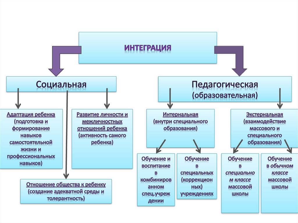 Наиболее изученными и перспективными в плане развития и интеграции в общество являются дети