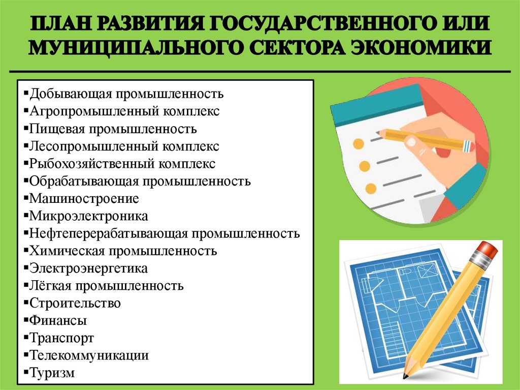 ПЛАН РАЗВИТИЯ ГОСУДАРСТВЕННОГО ИЛИ МУНИЦИПАЛЬНОГО СЕКТОРА ЭКОНОМИКИ