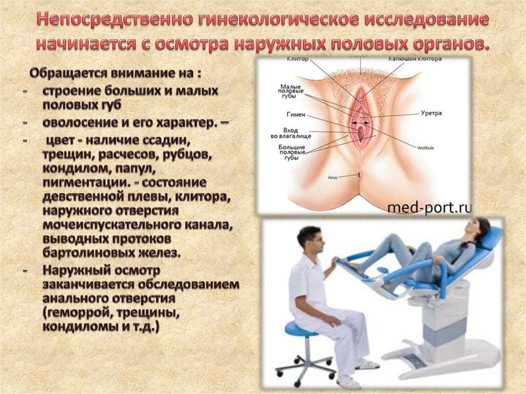 Непосредственно гинекологическое исследование начинается с осмотра наружных половых органов.