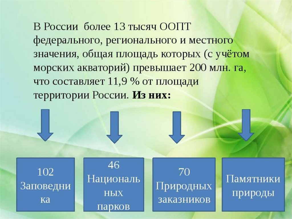 Что означает федеральный проект