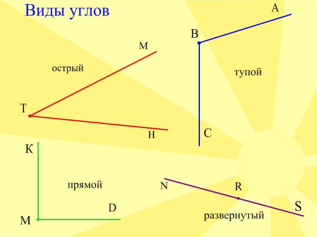 Все виды углов