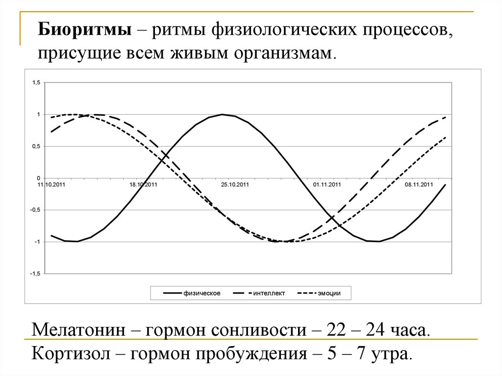 Типы биоритмов схема