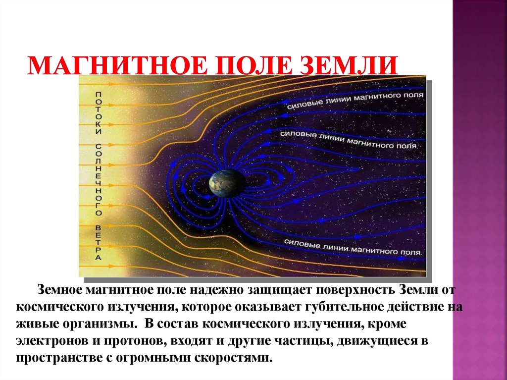 Как магнитное поле земли влияет на человека презентация