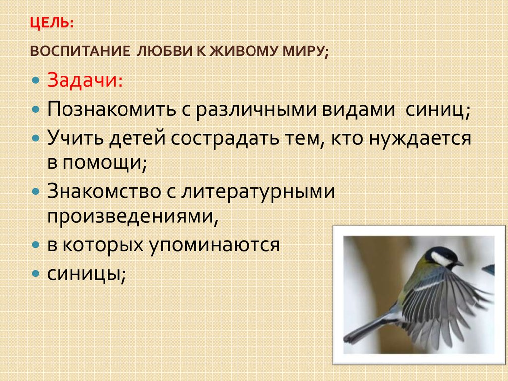 В сухомлинский почему плачет синичка 2 класс перспектива презентация