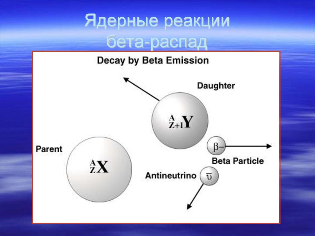 При бета распаде претерпевает изменение. Бета распад ядра атомного ядра. Схема бета распада ядра. Бета распад, бета частица. Альфа бета гамма распад физика.