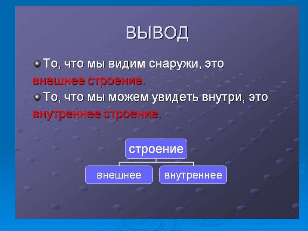 Внешние видимые. Вывод о строении человека. Органы человека вывод. Тело человека вывод к проекту. Внешнее строение вывод.