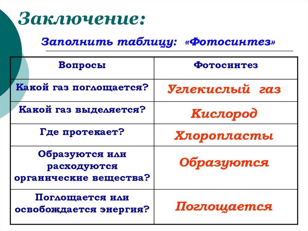 Какой газ выделяется при фотосинтезе