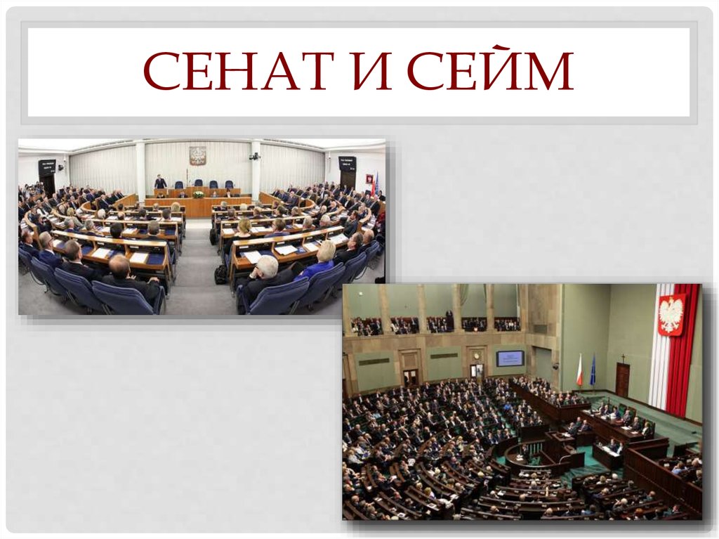 Сейм это. Сейм и Сенат Польши. 55. Законодательная власть в Польше. Сейм и Сенат. Сейм парламент. Парламент Польши презентация.