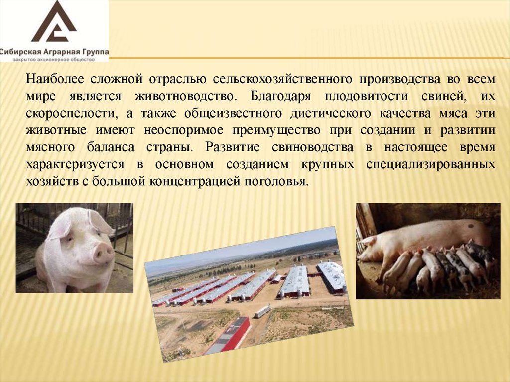 И получить благодаря ему. И получить благодаря ему