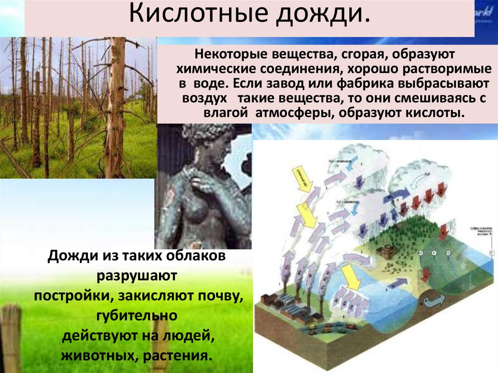 Оксид вызывающий образование кислотных дождей. Кислотные дожди. Презентация на тему кислотные дожди. Воздействие кислотных дождей. Кислотные осадки.