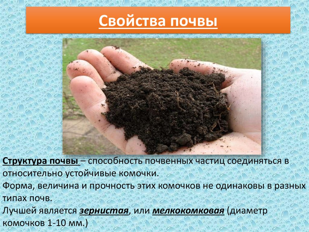 Органические свойства почвы. Состав почвы. Свойства почвы. Почва состав почвы. Необходимый составтпочвы.