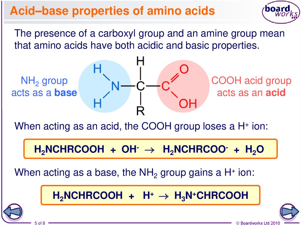 Polymers And Amino Acids Online Presentation
