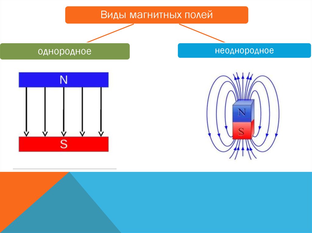 Бегущее магнитное поле. Магнитное поле презентация. Магнитное поле и растения. Магнитная стрелка в магнитном поле.