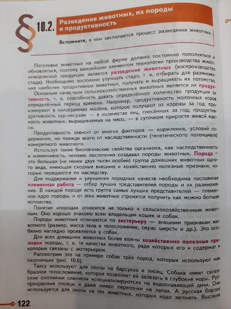 Технологии разведения животных 8 класс технология презентация