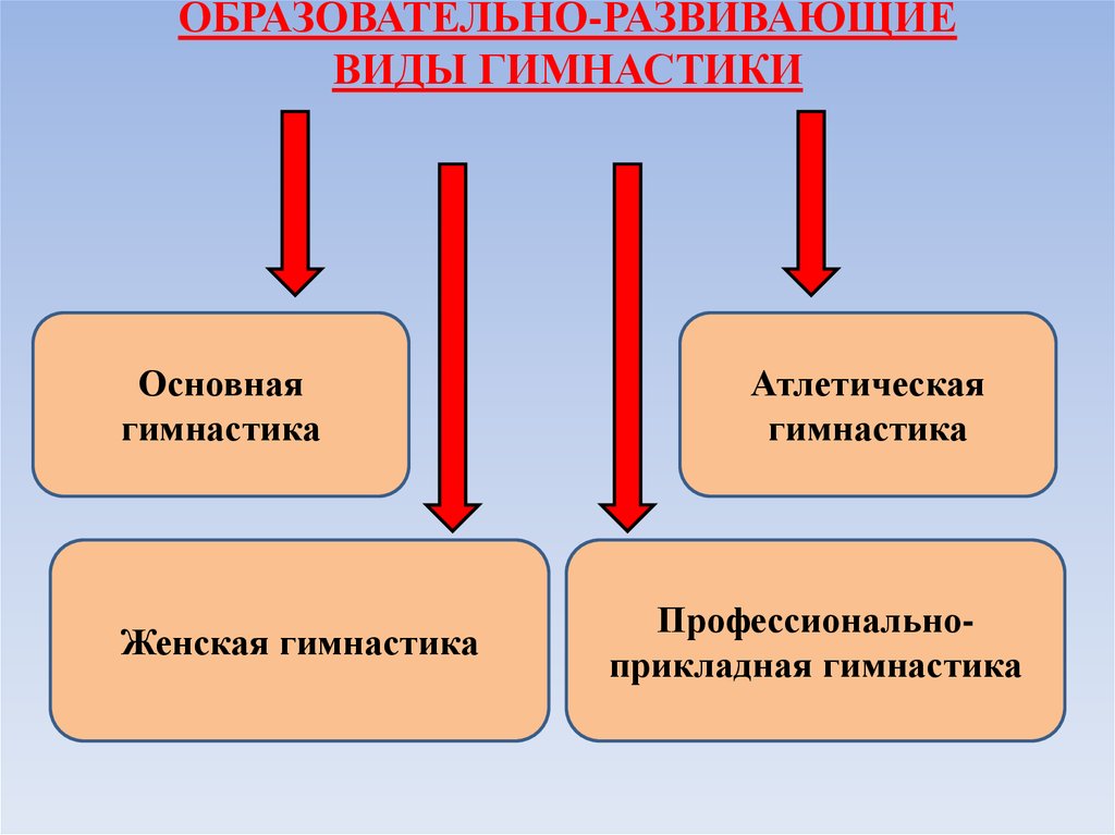 Образовательное развитие виды