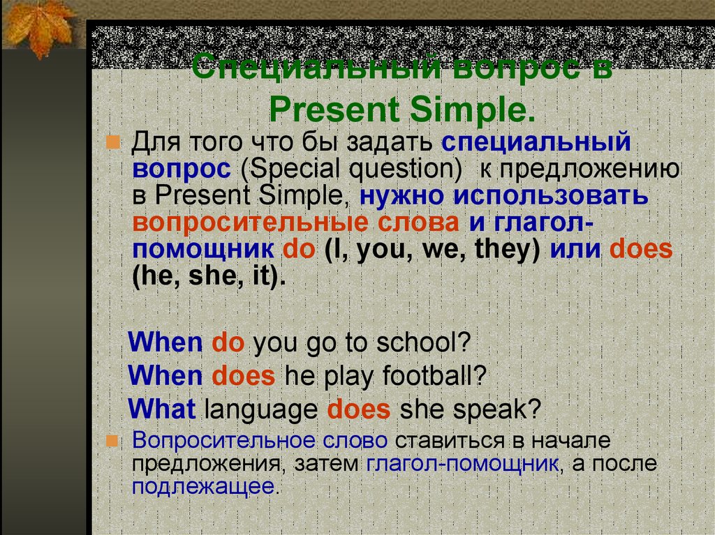 Вопросительное предложение в английском языке present. Present simple Tense специальные вопросы. Present simple вопросительные предложения специальные. Вопросы в презент Симпл. Предложения в present simple.