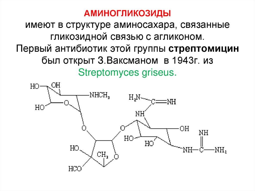 Аминогликозиды презентация по фармакологии