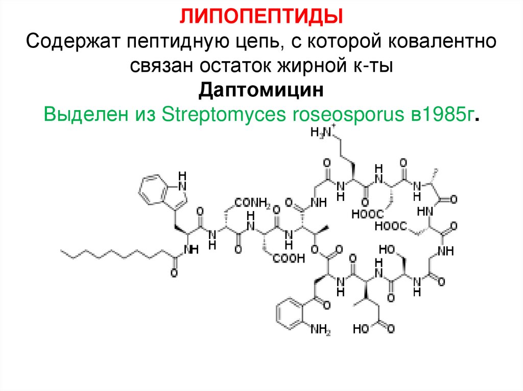 ЛИПОПЕПТИДЫ Содержат пептидную цепь, с которой ковалентно связан остаток жирной к-ты Даптомицин Выделен из Streptomyces