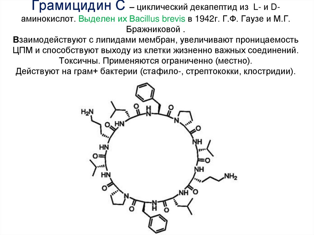 Грамицидин С – циклический декапептид из L- и D-аминокислот. Выделен их Ваcillus brevis в 1942г. Г.Ф. Гаузе и М.Г. Бражниковой