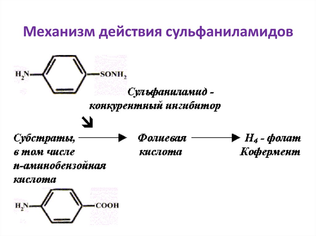 Механизм действия сульфаниламидов