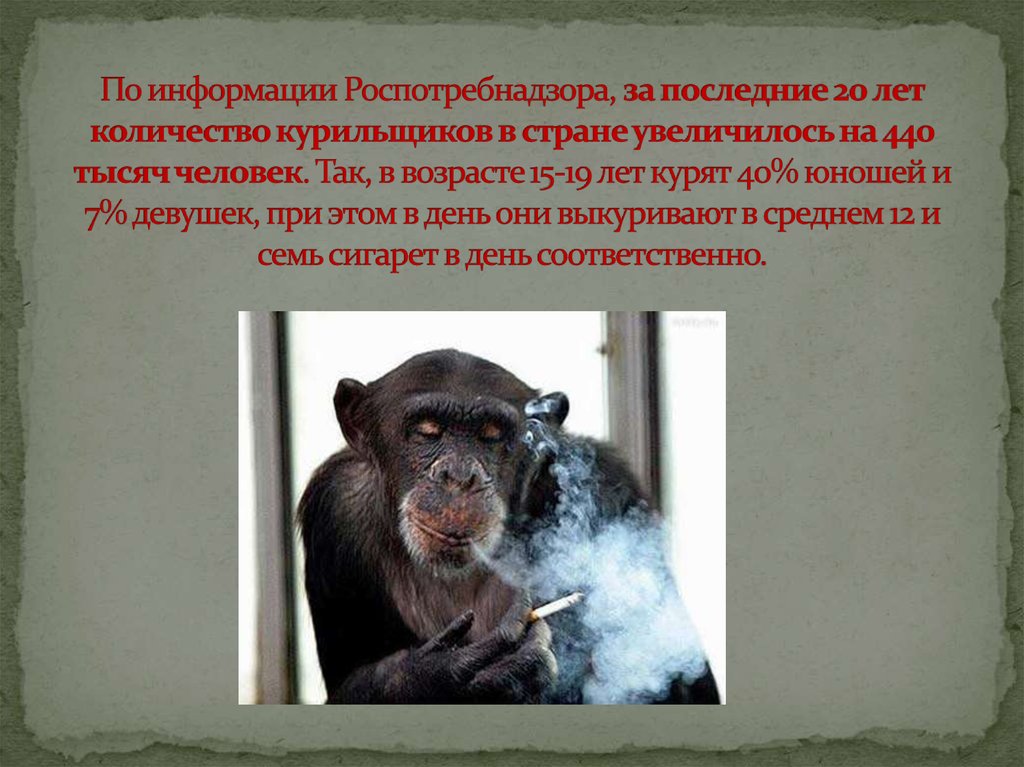 По информации Роспотребнадзора, за последние 20 лет количество курильщиков в стране увеличилось на 440 тысяч человек. Так, в