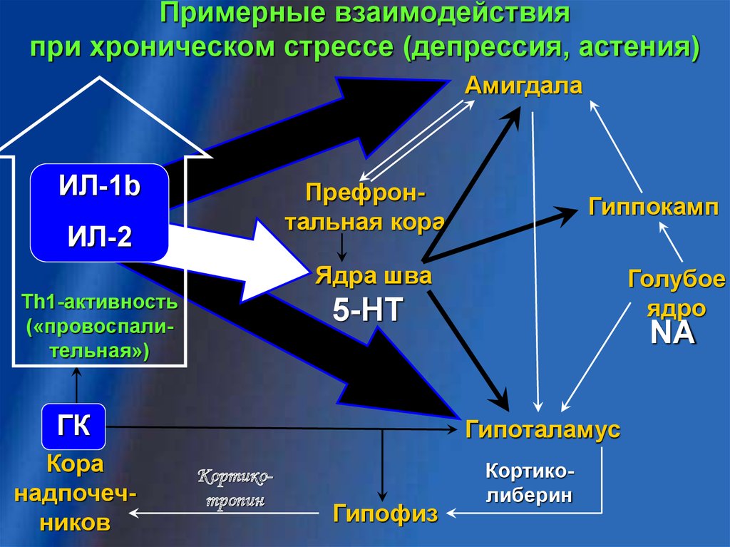 Примеры хронического стресса в литературных произведениях. Астения при хроническом стрессе. Периоды физиология иммунной депрессии. Интерлейкин-1 активирует в нейронах термоустановочной точки. Иммунная система при депрессии.