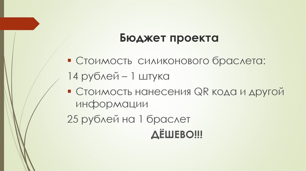 Бюджет проекта