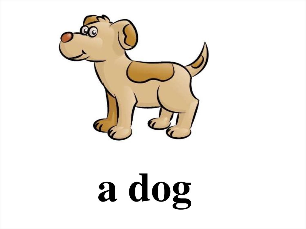 My pet dog has a. Карточки по английскому языку собака. Pets на английском для детей. Карточки Pets на английском. Dog для детей на английском.