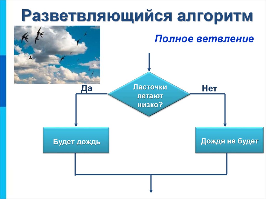 Что такое ветвление в информатике. Разветвляющийся алгоритм с полным ветвлением. Блок схема разветвляющийсяалгоритма. Полная форма разветвляющегося алгоритма блок схема. Разветвляющийся алгоритм блок схема неполная.