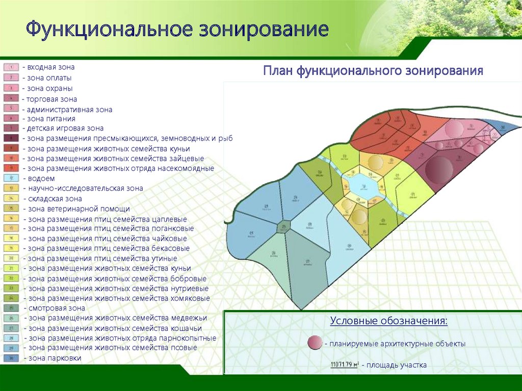 Какие зоны можно