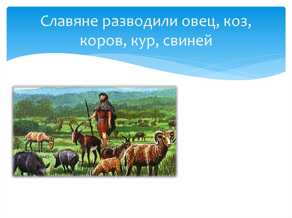 маршрутами родного края