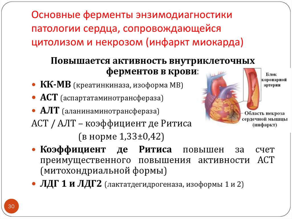 Активность печеночных ферментов. Анализ крови на ферменты при инфаркт миокарда. Повышение активности ферментов при инфаркте миокарда. При инфаркте миокарда повышается активность фермента крови. Ферменты энзимодиагностики инфаркта миокарда.