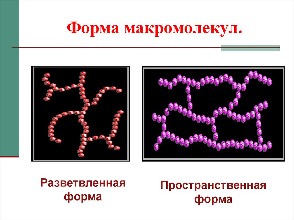 Форма макромолекул.