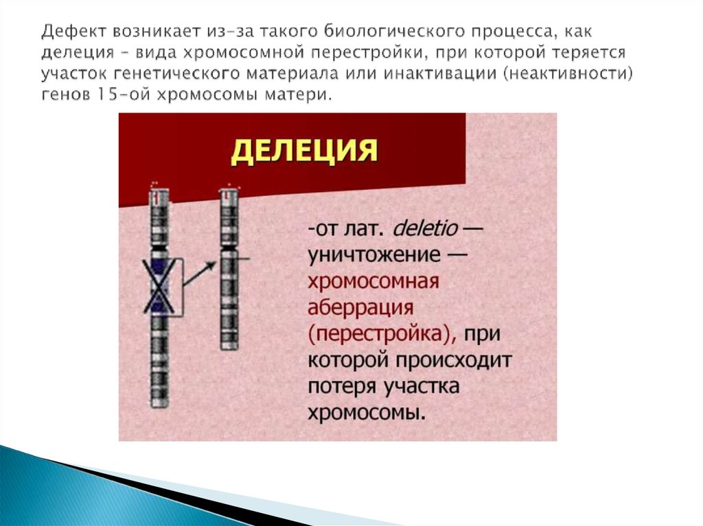 Дефект возник. Терминальная делеция. Примеры делеции у человека. Механизм исправления делеции.