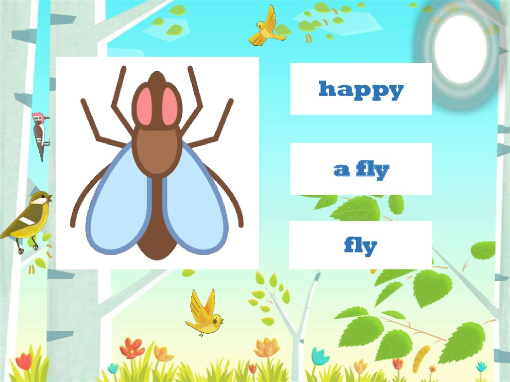 Happy fly
