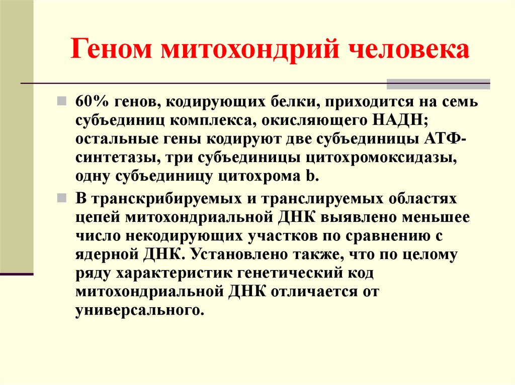 Геном кодирует белки. Геном митохондрий человека. Гены митохондрий. Структура митохондриального генома. Особенности генома митохондрий.