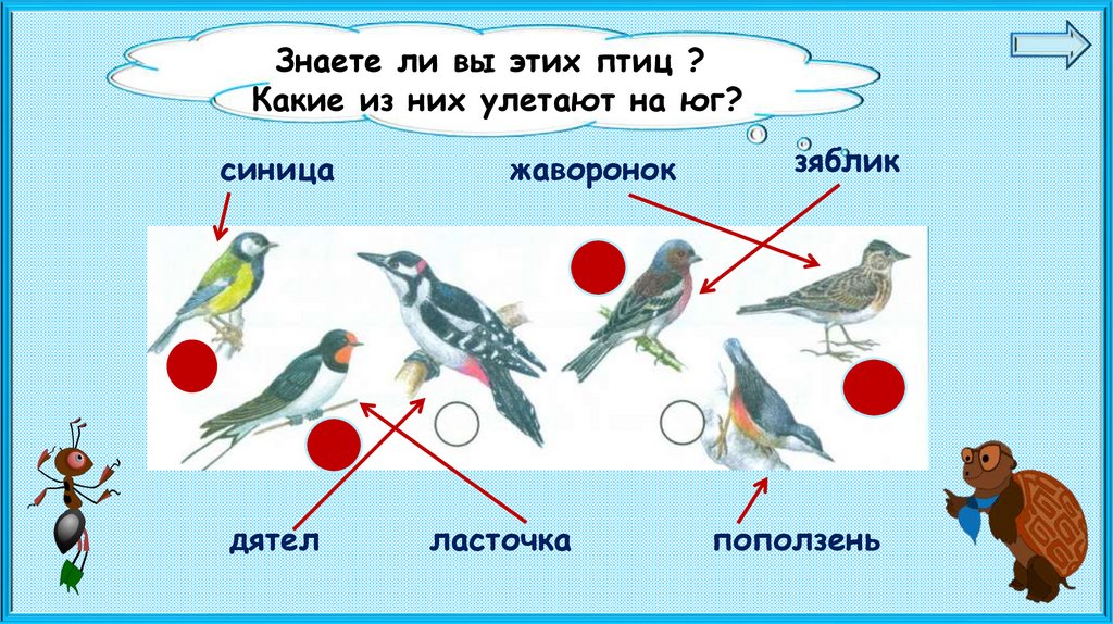 Презентация 1 класс где зимуют птицы 1 класс