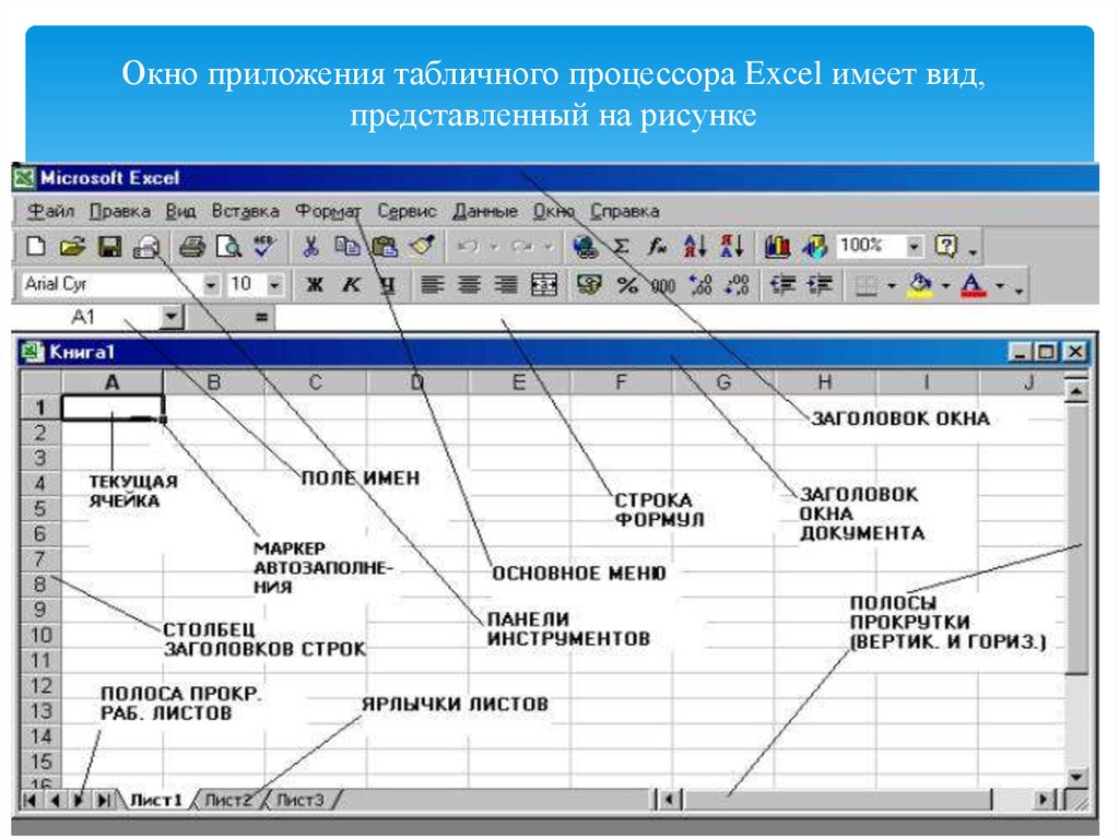 Табличный процессор ms excel