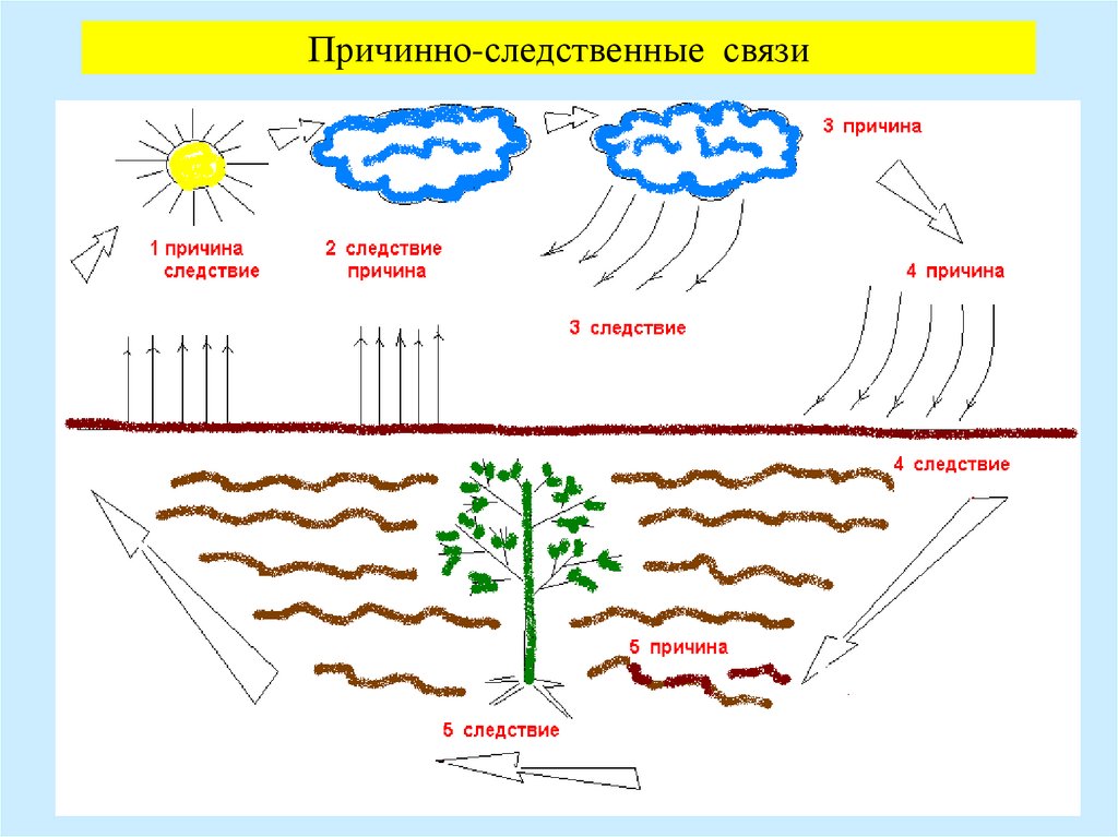 Причинно следственные связи для дошкольников в картинках